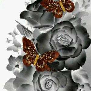 Meet your Posher, Deva